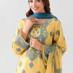 2 Piece - Digital Printed Embroidered Suit
